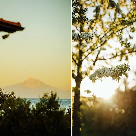 Vakantiehuis Casa Del Olivar Develíkia