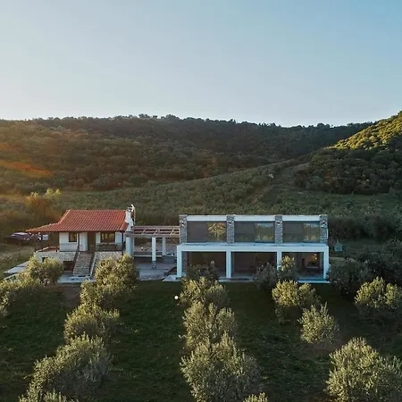 Casa Del Olivar