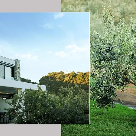 Casa Del Olivar Vakantiehuis