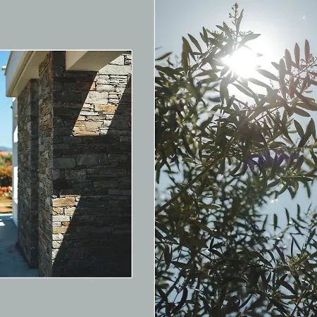 Casa Del Olivar Develíkia