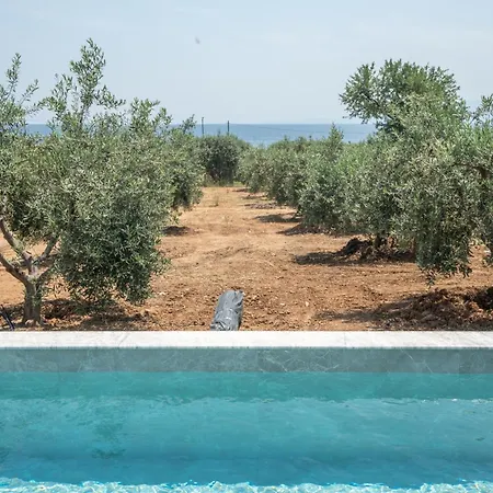 Casa Del Olivar Vakantiehuis