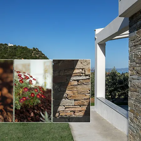 Casa Del Olivar * Develíkia