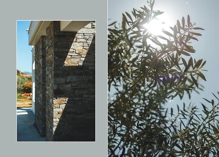 Casa Del Olivar Develíkia