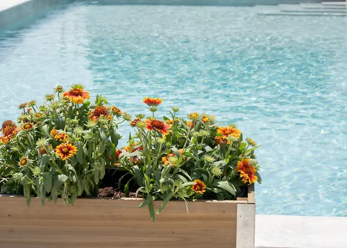 度假居 Casa Del Olivar