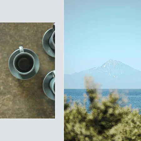 Дом отдыха Casa Del Olivar