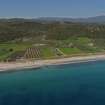 Casa Del Olivar Дом отдыха