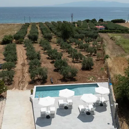 Casa Del Olivar Develikia