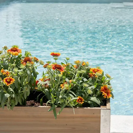 Дом отдыха Casa Del Olivar