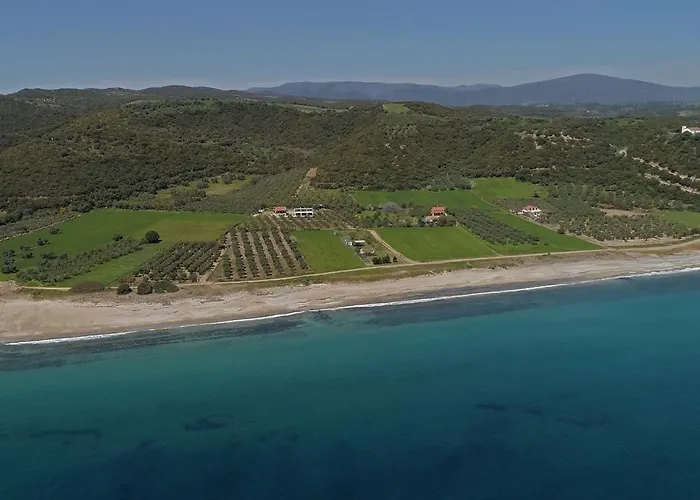 Casa Del Olivar Hébergement de vacances