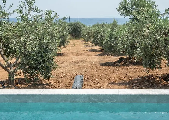 Casa Del Olivar Hébergement de vacances
